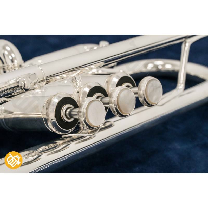 Trompeta Do BACH C180 SL 239H - Tudel 25H