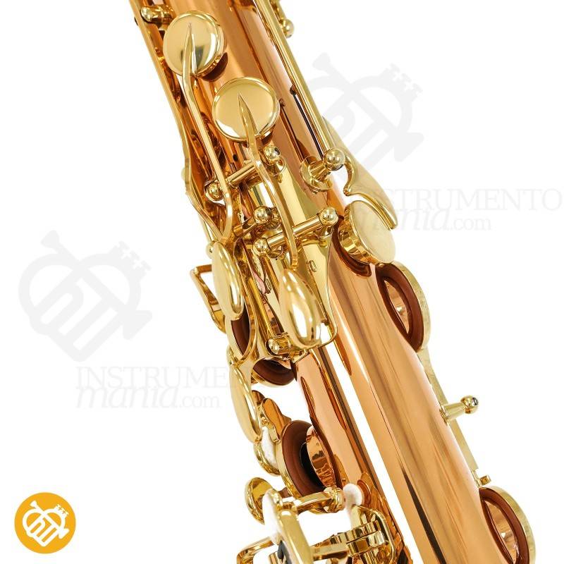 Saxo Tenor YANAGISAWA T-WO20