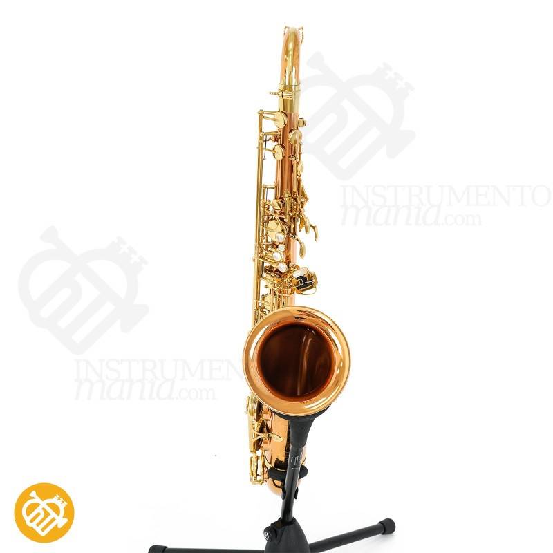 Saxo Tenor YANAGISAWA T-WO20