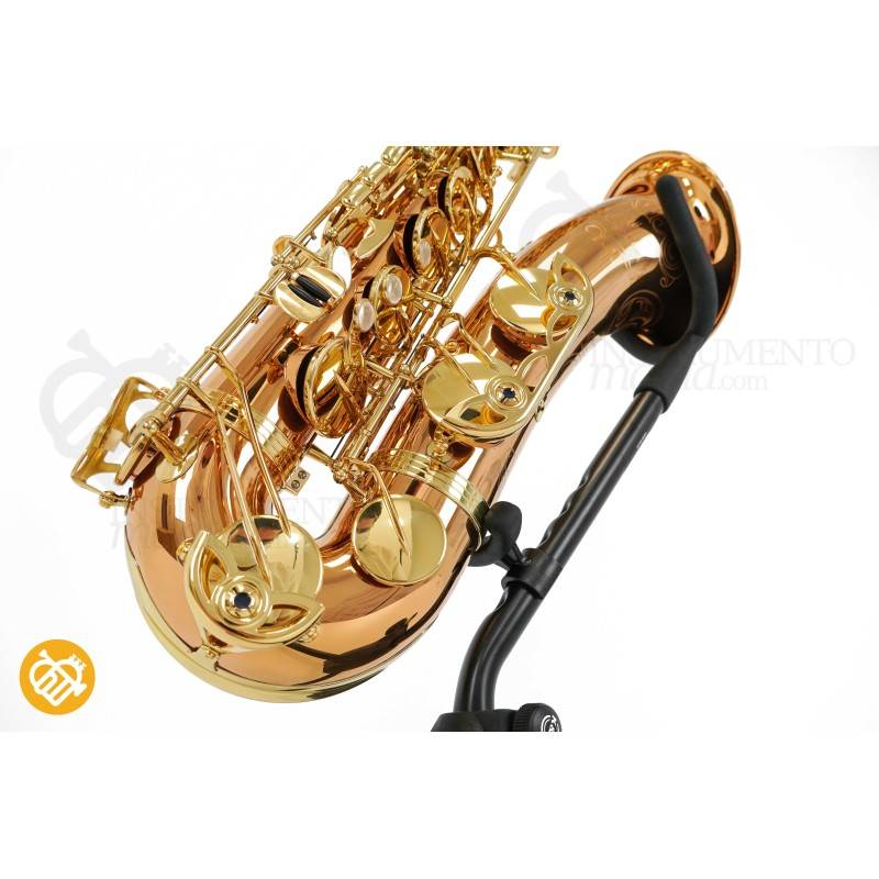 Saxo Tenor YANAGISAWA T-WO20