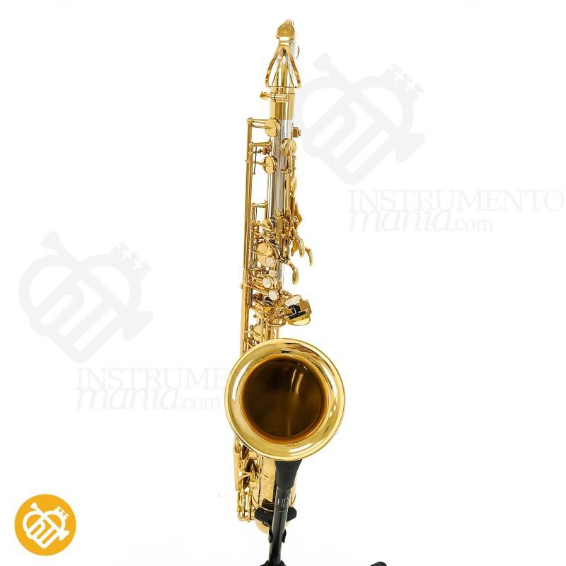 Saxo Tenor YANAGISAWA T-WO30