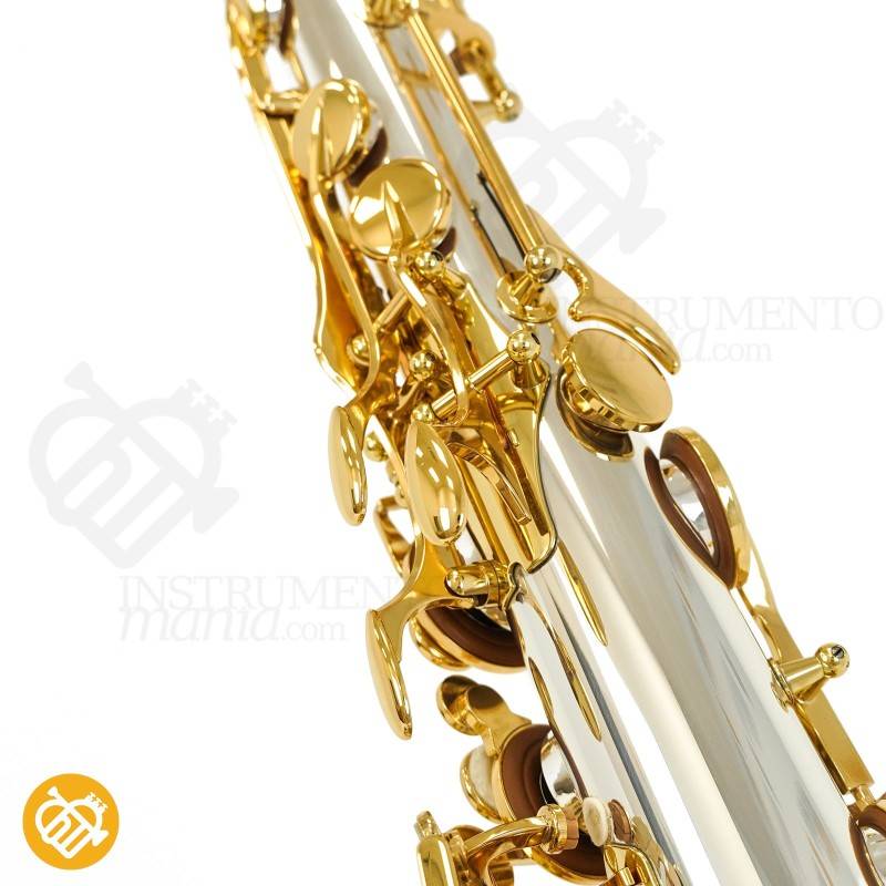 Saxo Tenor YANAGISAWA T-WO30