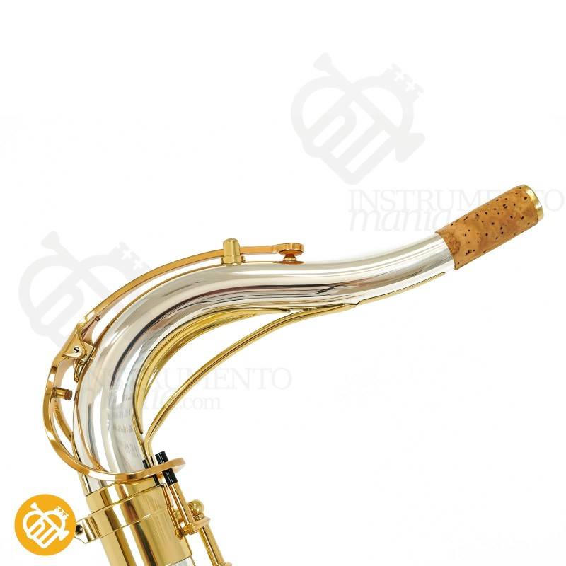 Saxo Tenor YANAGISAWA T-WO30