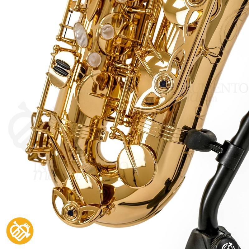 Saxo Tenor YANAGISAWA T-WO10