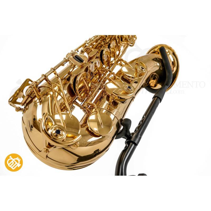 Saxo Tenor YANAGISAWA T-WO10