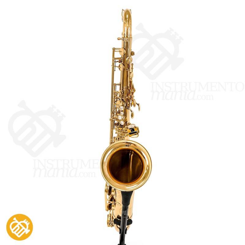 Saxo Tenor YANAGISAWA T-WO10