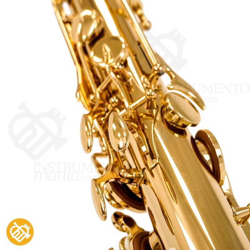 Saxo Tenor YANAGISAWA T-WO10