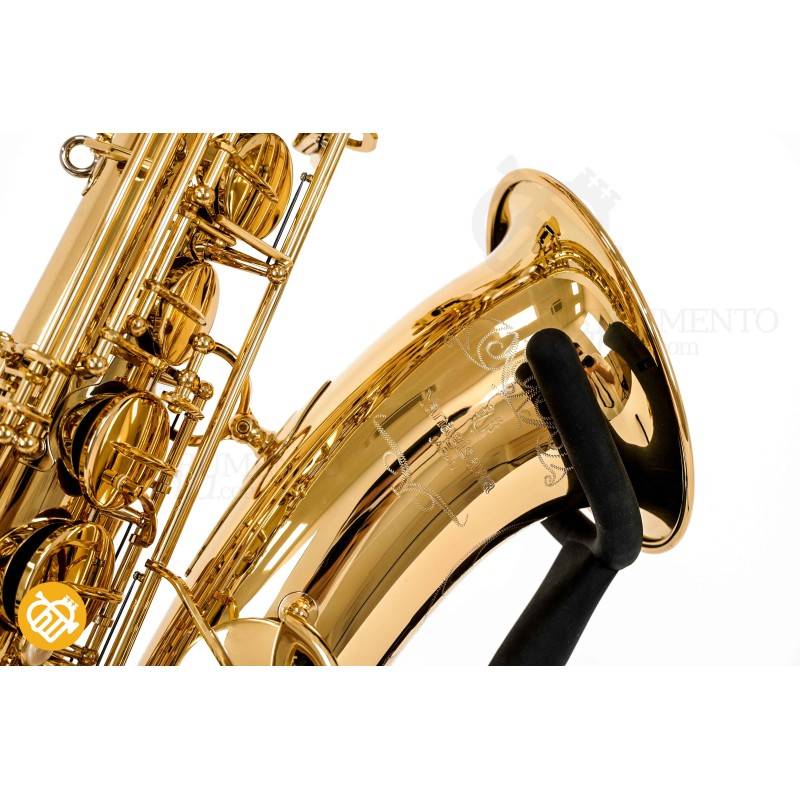 Saxo Tenor YANAGISAWA T-WO10