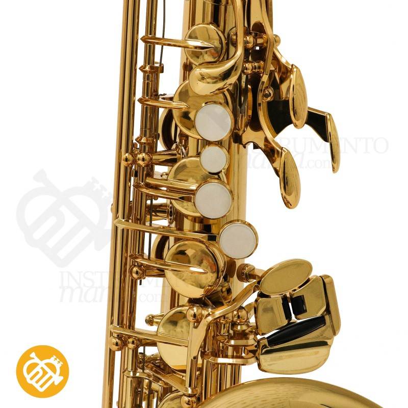 Saxofón alto Yamaha YAS-480