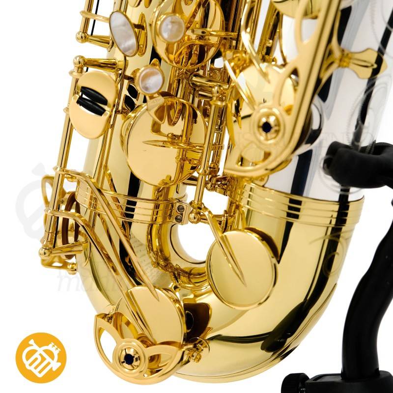 Saxo Tenor YANAGISAWA T-WO33