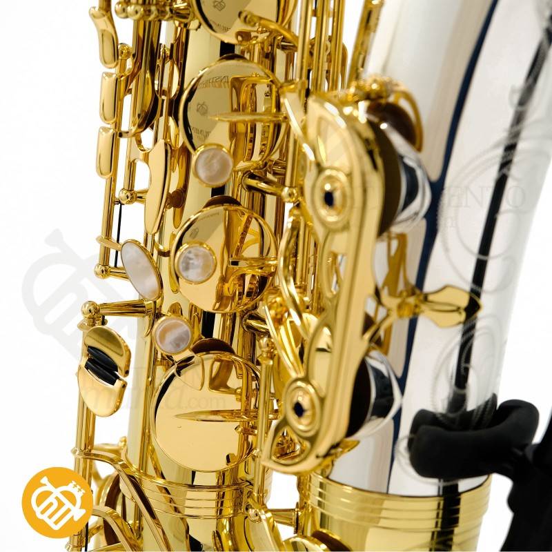 Saxo Tenor YANAGISAWA T-WO33