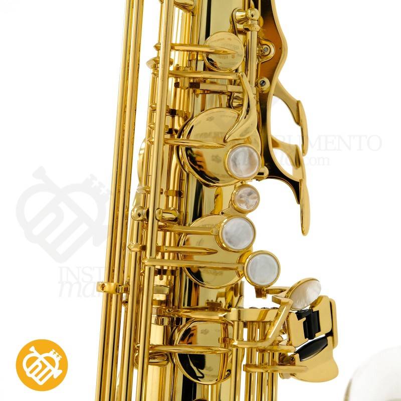 Saxo Tenor YANAGISAWA T-WO33