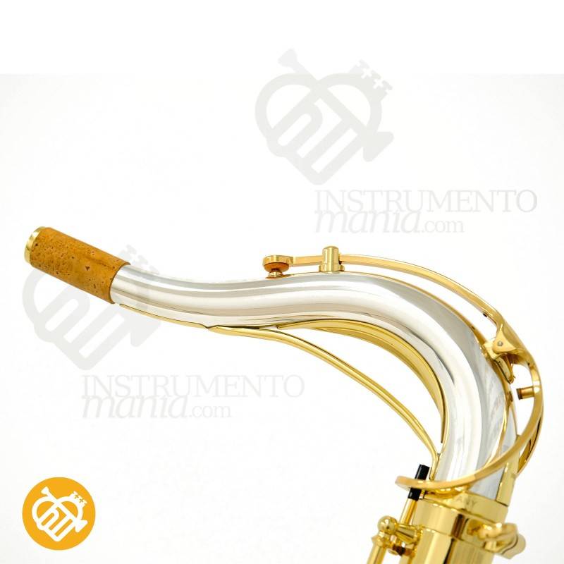 Saxo Tenor YANAGISAWA T-WO33