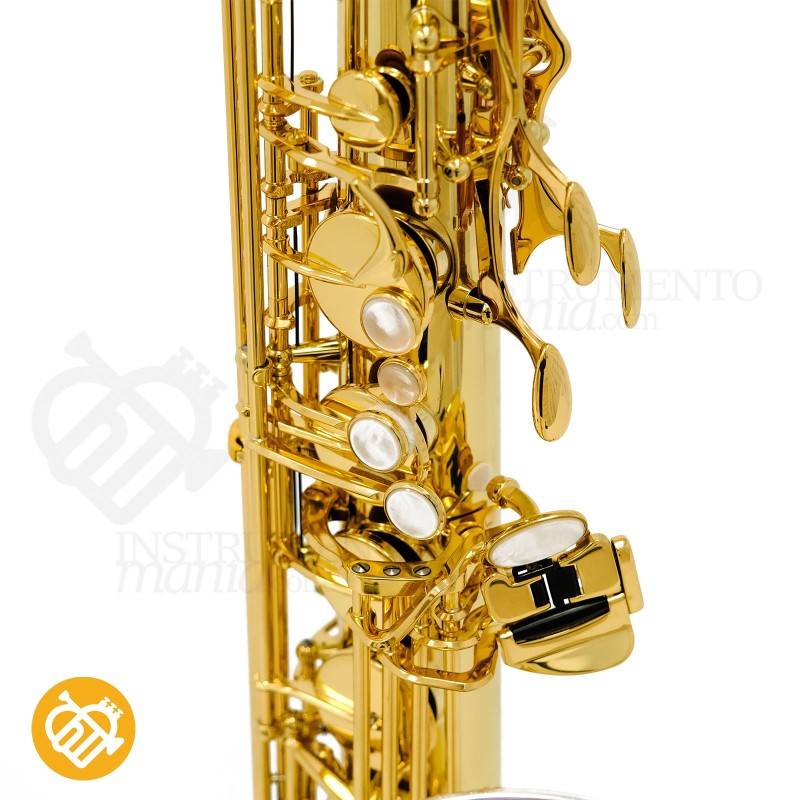 Saxo Tenor YANAGISAWA T-WO33