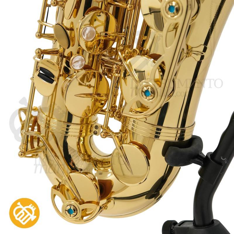 Saxo Tenor YANAGISAWA T-WO1