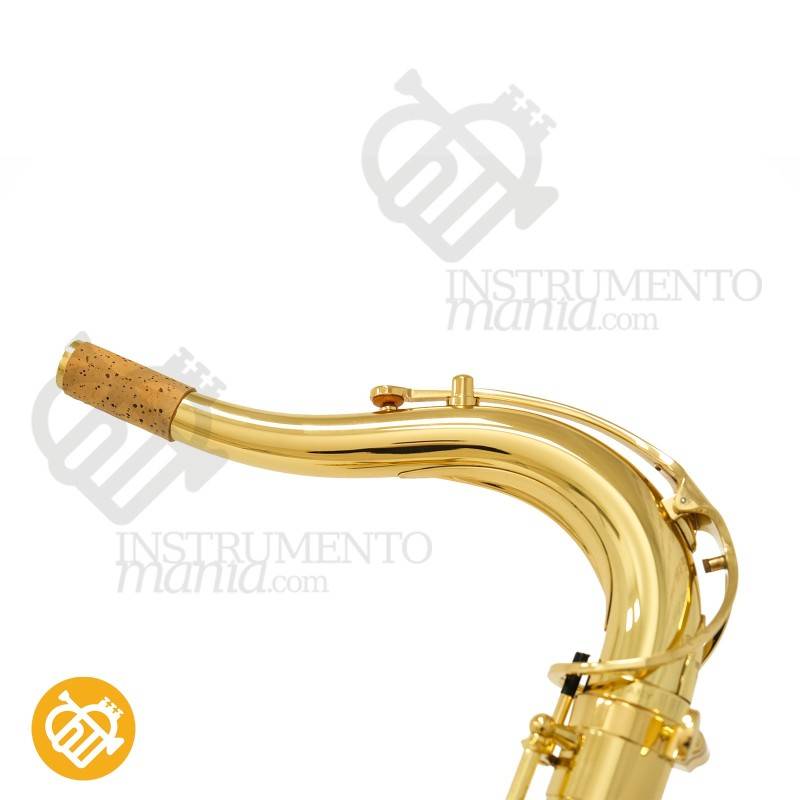 Saxo Tenor YANAGISAWA T-WO1