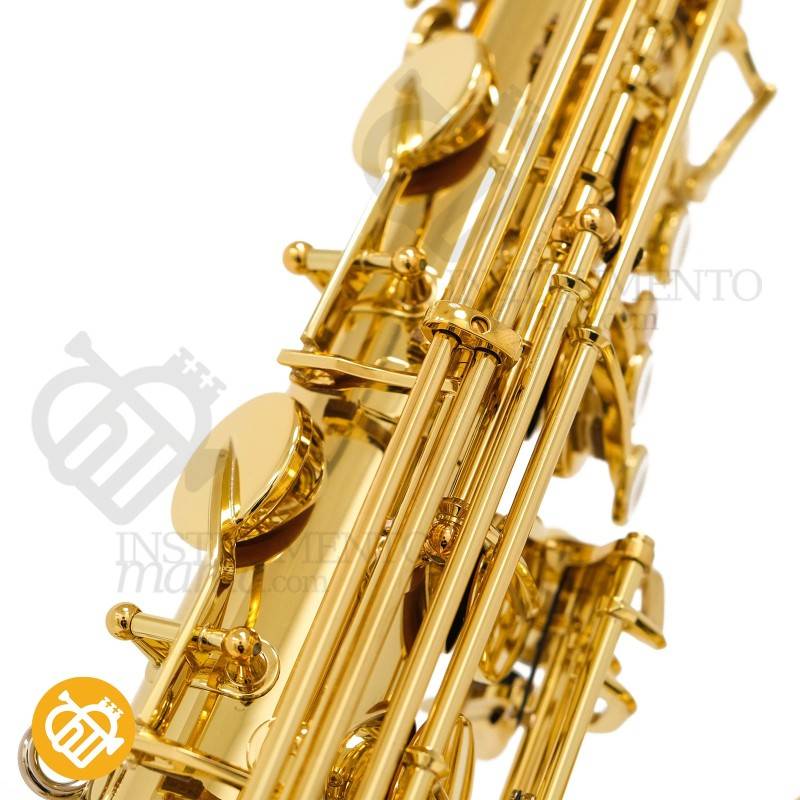 Saxo Tenor YANAGISAWA T-WO1