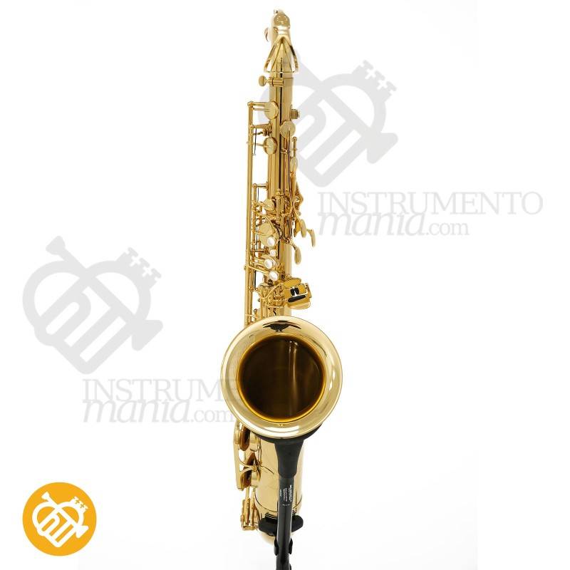 Saxo Tenor YANAGISAWA T-WO1