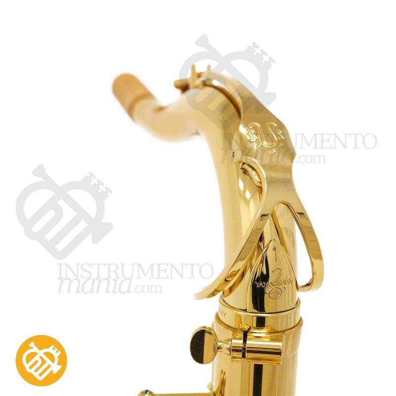 Saxo Tenor YANAGISAWA T-WO1