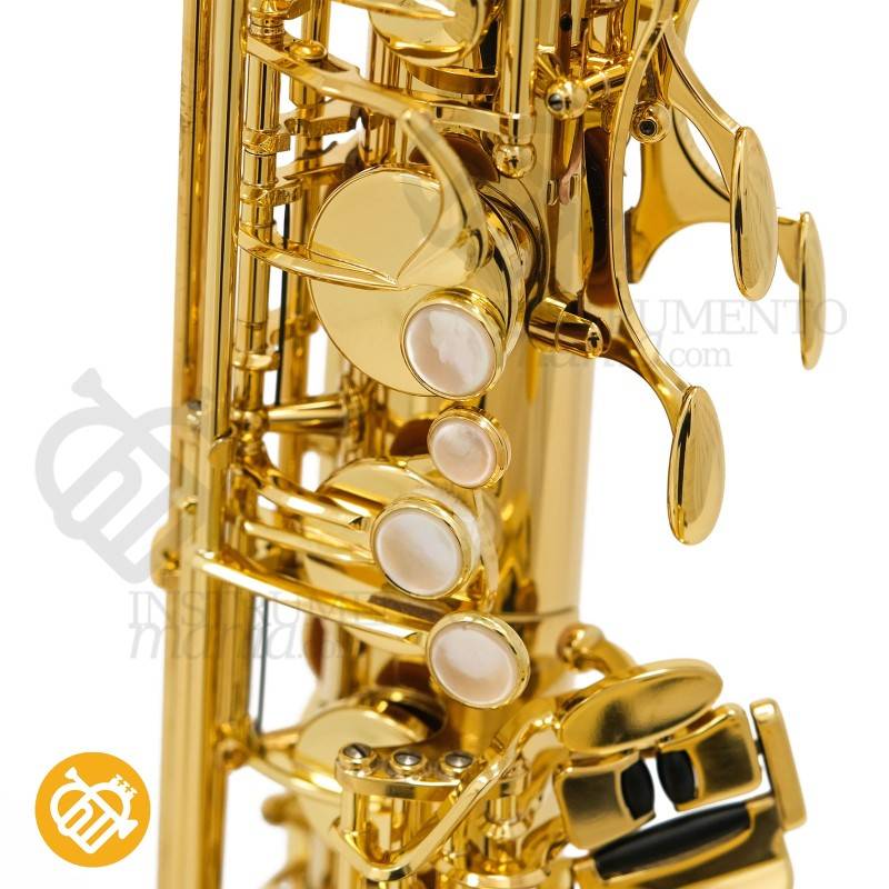 Saxo Tenor YANAGISAWA T-WO1