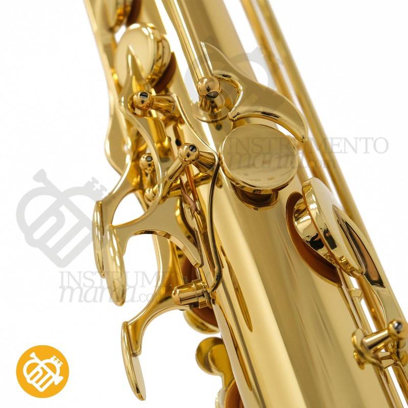 Saxo Tenor YANAGISAWA T-WO1