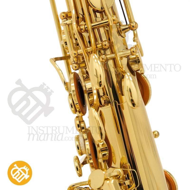 Saxo Tenor YANAGISAWA T-WO1