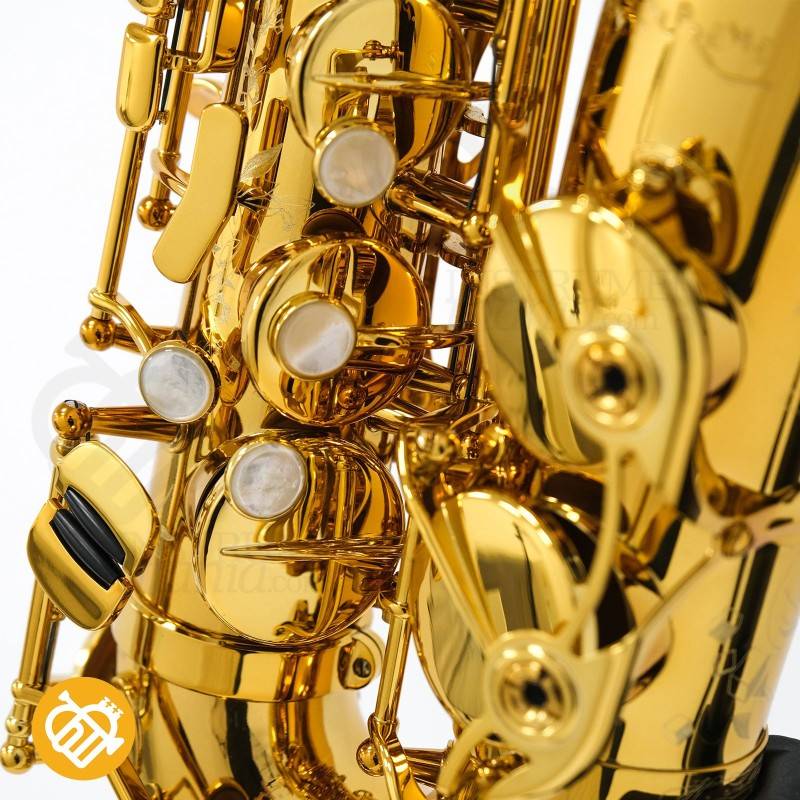 Saxo Alto Selmer Supreme