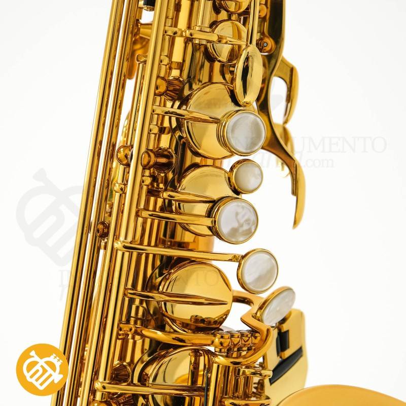 Saxo Alto Selmer Supreme