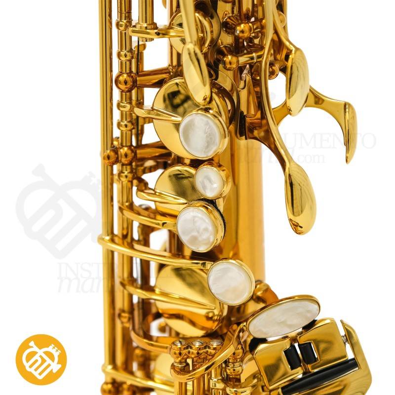 Saxo Alto Selmer Supreme