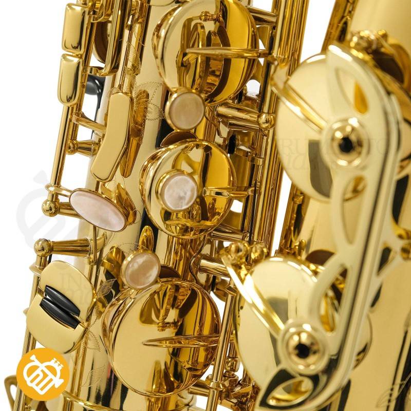 Saxo Tenor Selmer SELES AXOS