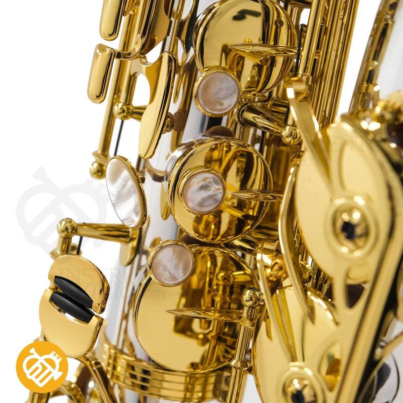 Saxo alto Yanagisawa A-WO37