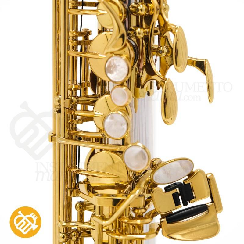 Saxo alto Yanagisawa A-WO37