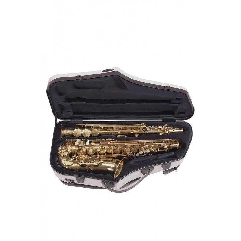 Estuche Saxo Alto & Soprano BAM 4120XL HIGHTECH Bam