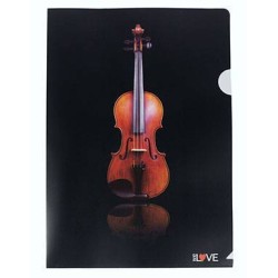 Portafolios Violín