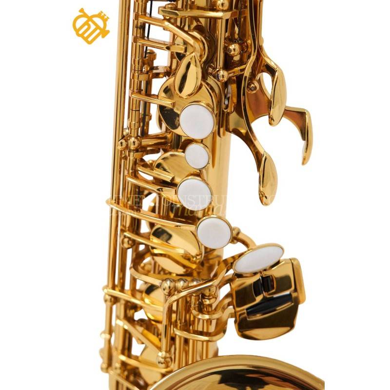 Saxo Alto Andreas Eastman EAS253 Eastman Winds