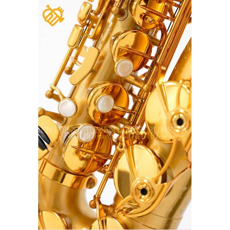 Saxofón Alto Selmer Supreme - BGG GO Brushed Gold Selmer