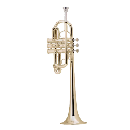 trompeta mib re bach 189L