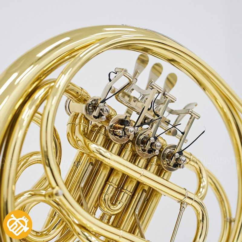Trompa Fa - Sib S.E. Shires Q20 laca