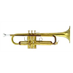 TROMPETA BSC TR2B Big Horn Brushed