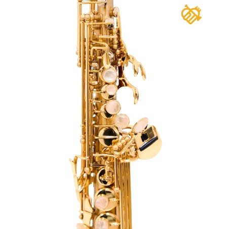 Saxo Soprano Selmer JUBILE S III BGG GO