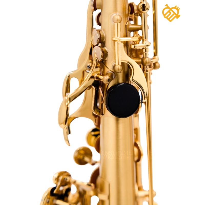 Saxo Soprano Selmer JUBILE S III BGG GO