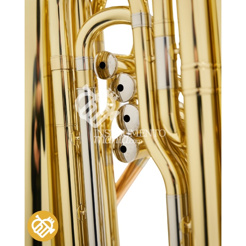 Maquinaria y bombas Tuba Pawet 3/4 700L