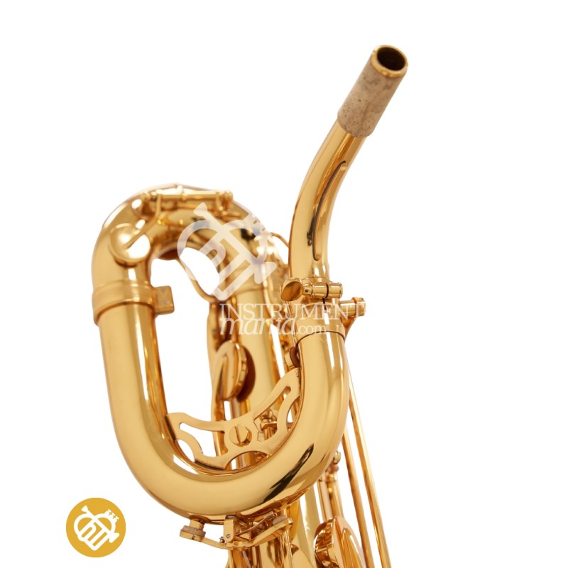 Saxo Barítono Pawet PBS-600L SIGNATURE