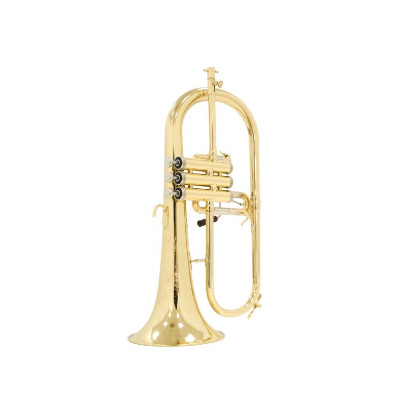 Fliscorno Shires Q19 - cómpralo ahora online en Instrumento Mania