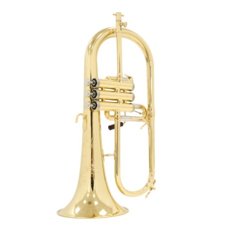 Fliscorno Shires Q19 - cómpralo ahora online en Instrumento Mania