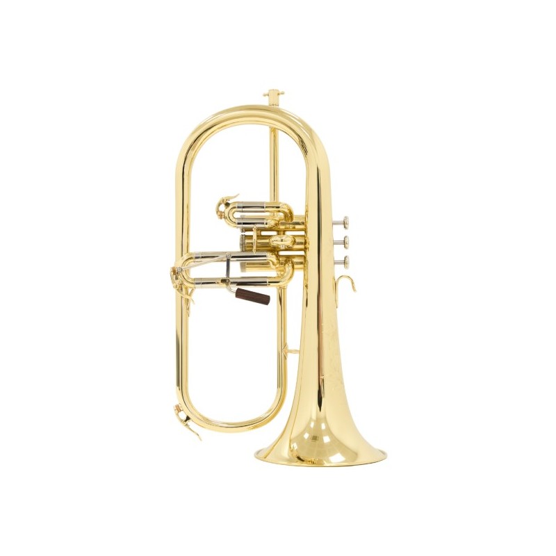 Fliscorno Shires Q19 - cómpralo ahora online en Instrumento Mania