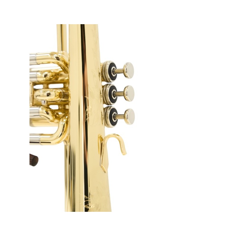 Fliscorno Shires Q19 - cómpralo ahora online en Instrumento Mania