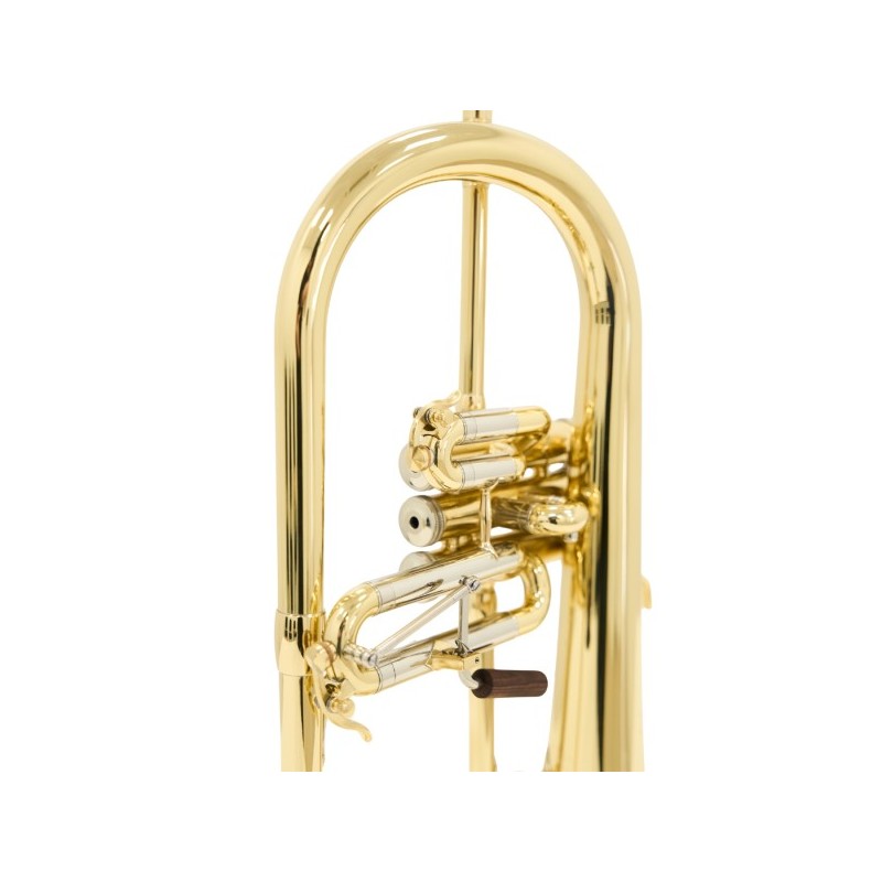 Fliscorno Shires Q19 - cómpralo ahora online en Instrumento Mania