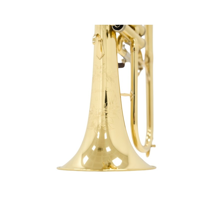 Fliscorno Shires Q19 - cómpralo ahora online en Instrumento Mania