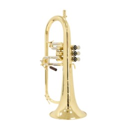 Fliscorno Shires Q19